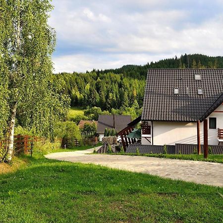 Pensiunea Doina Bucovinei Hotell Mînăstirea Humorului Exteriör bild