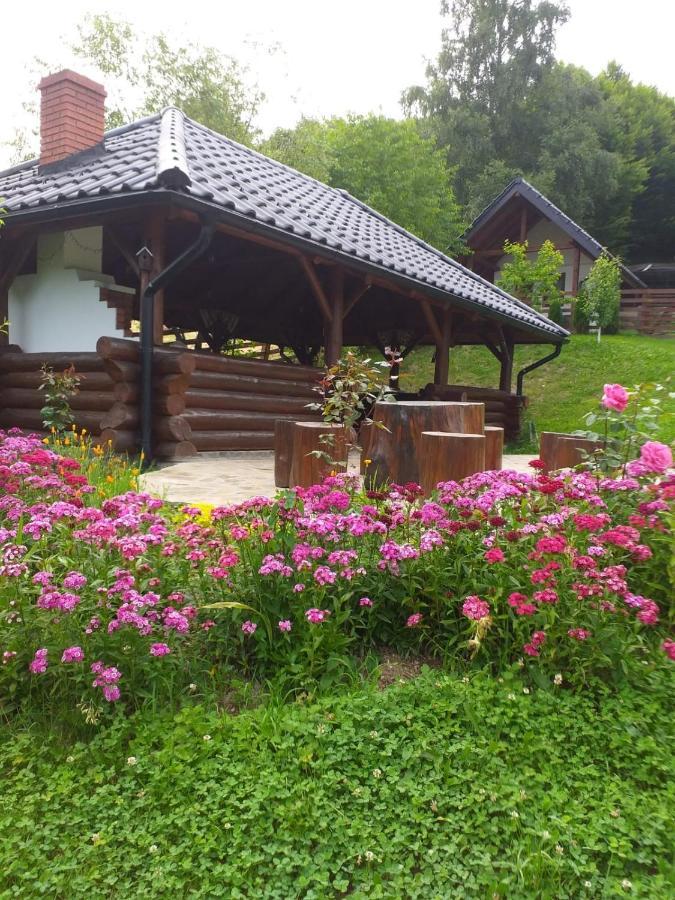 Pensiunea Doina Bucovinei Hotell Mînăstirea Humorului Exteriör bild
