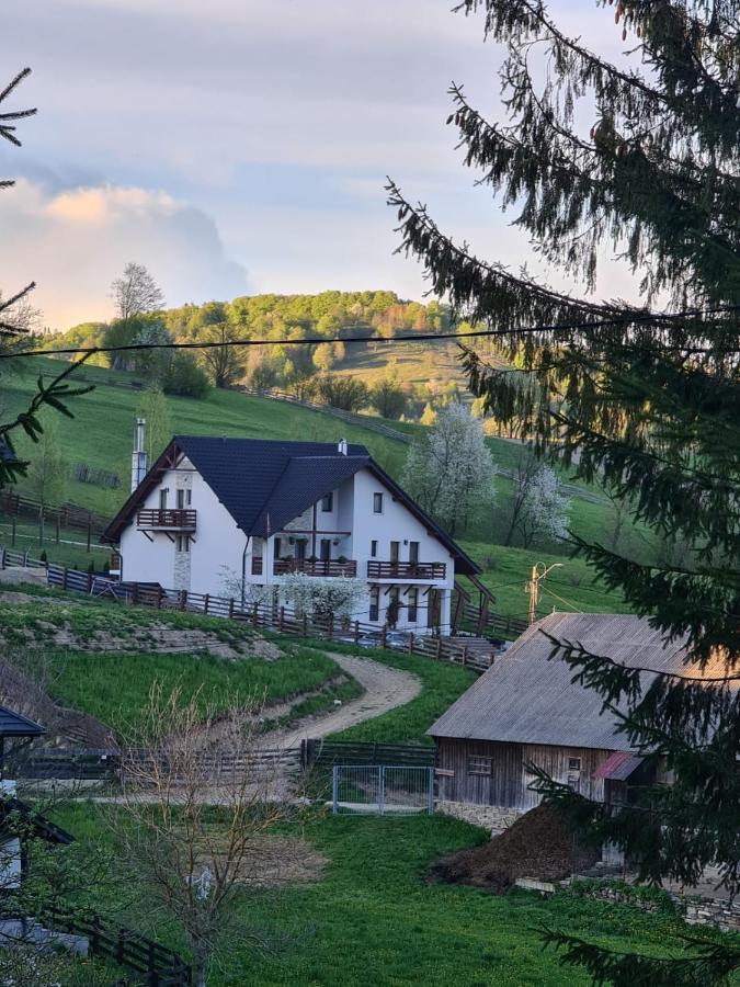 Pensiunea Doina Bucovinei Hotell Mînăstirea Humorului Exteriör bild