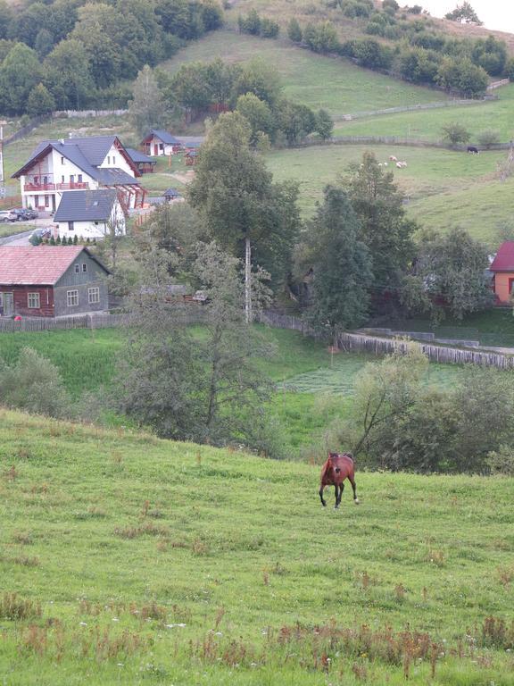 Pensiunea Doina Bucovinei Hotell Mînăstirea Humorului Exteriör bild