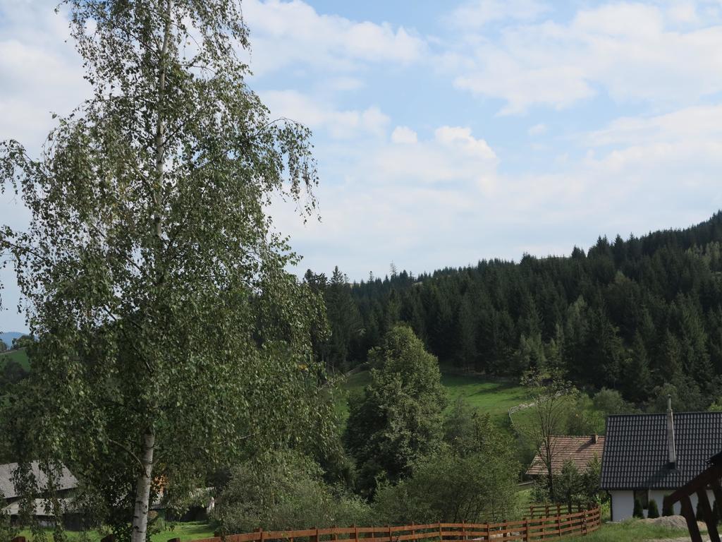 Pensiunea Doina Bucovinei Hotell Mînăstirea Humorului Exteriör bild